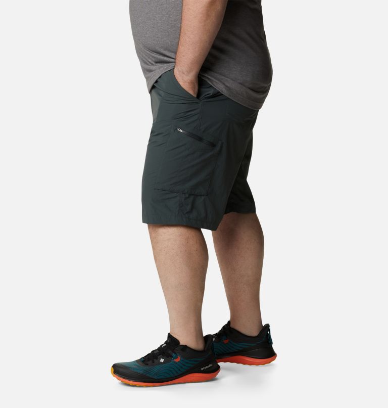 miesten silver ridge -reisitaskushortsit - iso